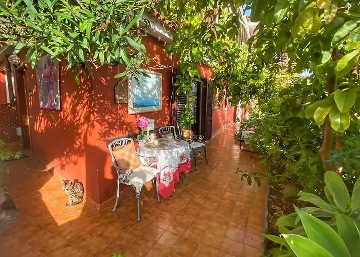 Moringa Garden Apartment *