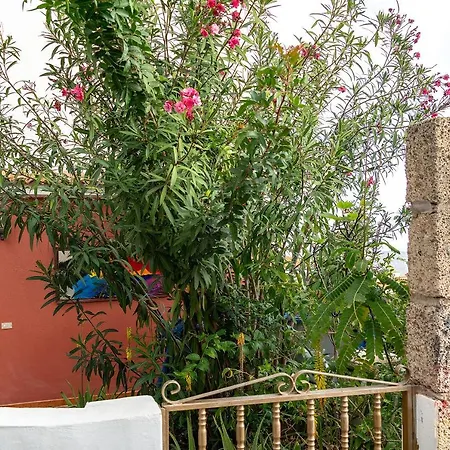 Lejlighed Moringa Garden Chayofa