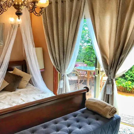 Moringa Garden * Чайофа